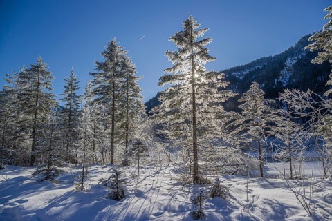 Isar valley in winter at temperatures of minus 18 degrees Celsius. Snow covered landscape with the