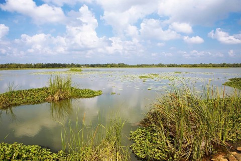 Debara Wewa Reservoir, Tissamaharama, Southern Province, Sri Lanka, Asia