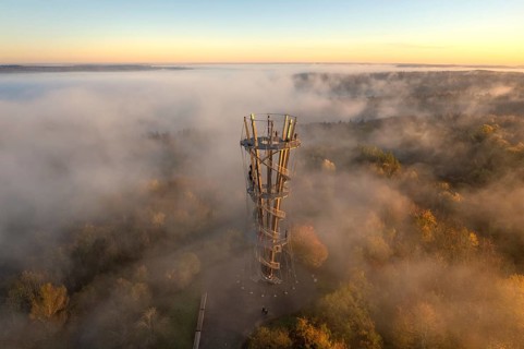 Tower in the fog reveals itself at sunrise, surrounded by autumnal forest landscape, Schönbuchturm,