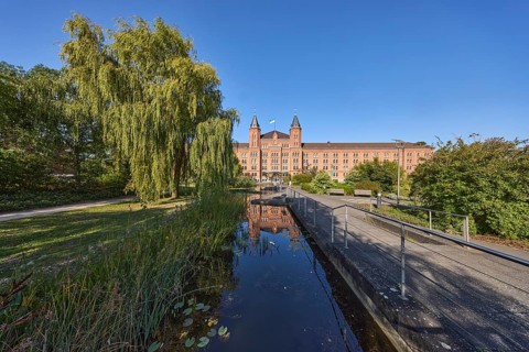 New town hall, park, trees, Babylon willow (Salix babylonica), footpath, pond, metal railing, blue