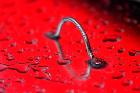 Close-up, close-up, metal lid, handle, water, water droplet, Heidenheim, Baden-Württemberg,