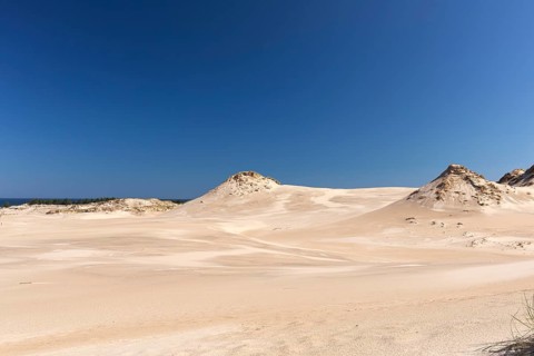 Lacka Dune on a sunny day with a blue sky in the Slowinski National Park, northern Poland on the