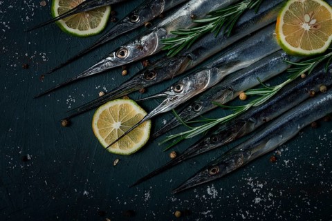 Fresh, Black Sea fish. raw, sargan, sea pike, top view, no people