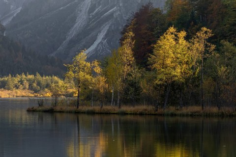 Lake Almsee in autumn with a forest reflected in the lake