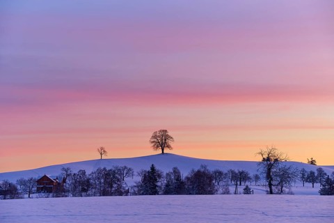 Winter landscape with snow-covered hill, lonely trees, farm and colourful sunset sky, Menzingen,