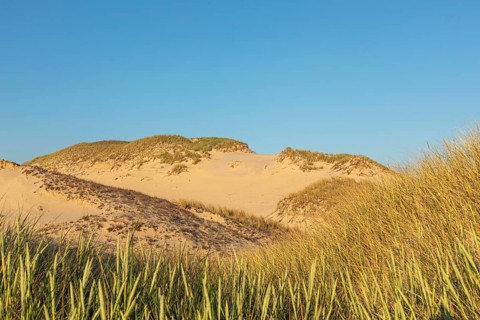 Lacka Dune on a sunny day with a blue sky in the Slowinski National Park, northern Poland on the