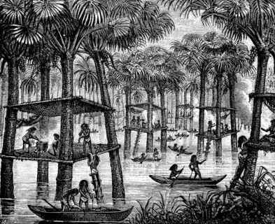 Indigenous people living in families on prehistoric pile dwellings in the Rio Orinoco, tropical