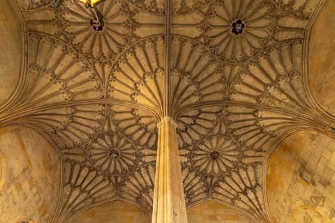 Fan vault in the staircase of Christ Church College, Oxford, Oxfordshire, England, Great Britain