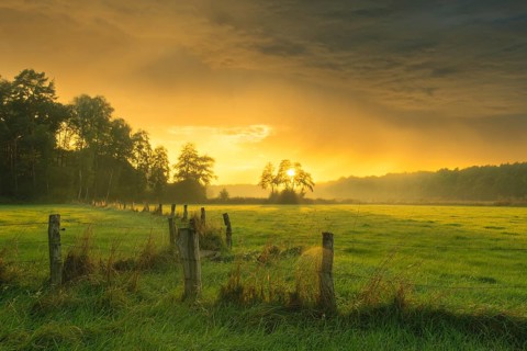 View of a wooden fence over green meadows at the edge of a forest with an intense sunset, Neustadt