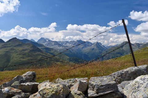 View from the Langschneid to the Hochgall, East Tyrol, Austria, Europe