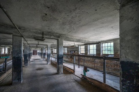 Empty cowshed of a former LPG of the GDR, Mecklenburg-Vorpommern, Germany, Europe