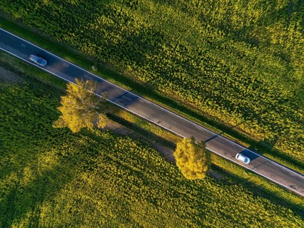 Aerial view, drone photo: Two cars driving between two birch trees with autumn leaves on a country