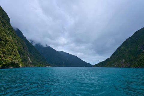Blue water between forested mountains fjord landscape with cloud cover, summer, Milford Sound, Te