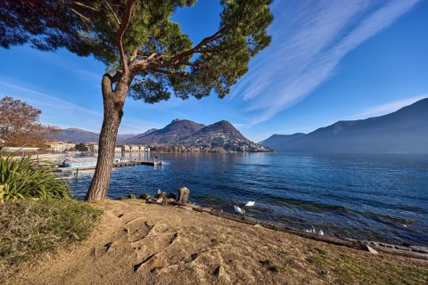 Lake shore, tree, hill, haze, blue sky with veil clouds, Lake Lugano, Lugano, Lugano district,