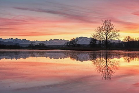 Pilatus reflected in the flooded nature reserve in the evening light, Reussspitz, Hünenberg, Canton