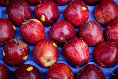 Vendor diaplays apples to sell at a market, on the day of the presentation of Union Budget, in