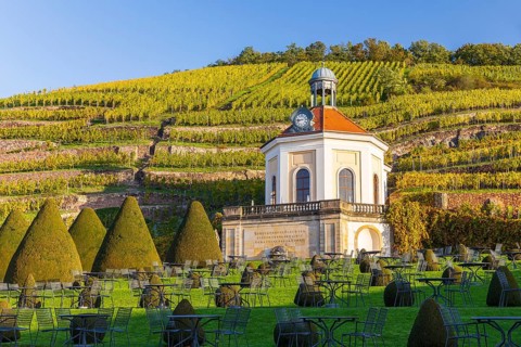 Belvedere in the vineyard, palace gardens Wackerbarth, Radebeul, Saxony, Germany, Europe