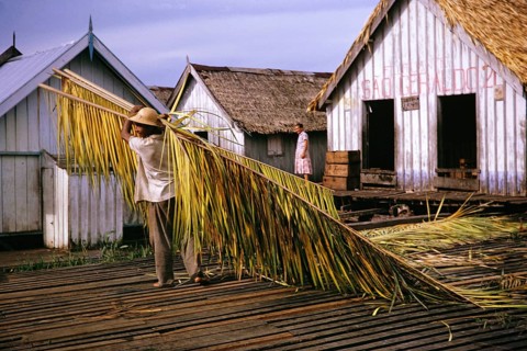 Informal dwellings, wooden huts built on logs, known as the floating city, Manaus, Brazil 1962 Man