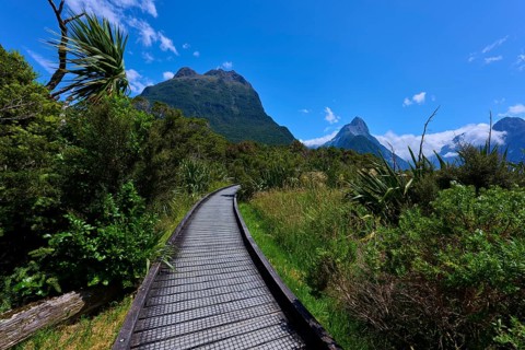 Wooden walkway leads through lush landscape, flanked by high mountains under a blue sky with few