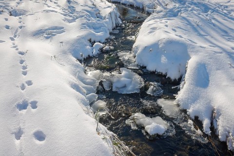 Bochum, North Rhine-Westphalia, Germany - Sunny winter landscape in the Ruhr area, ice and snow on