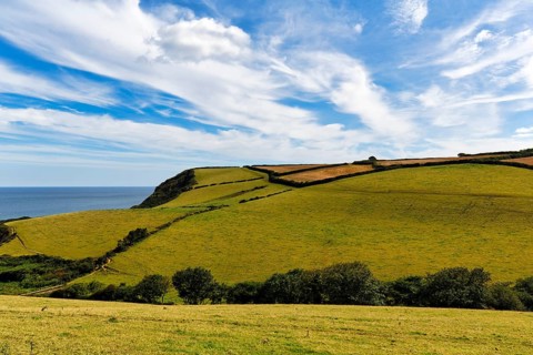 Hilly landscape with fields, meadows, hedges by the sea, spring clouds in summer, Cirrus, Cornwall,