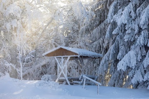 Sun shining through the trees covered in thick hoarfrost onto the snow-covered picnic area on the