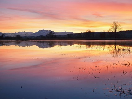 Pilatus reflected in the flooded nature reserve in the evening light, Reussspitz, Hünenberg, Canton
