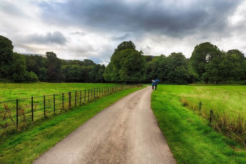 Walkers on hiking trail in the park, rain clouds, Muckross House & Gardens, Killarney National