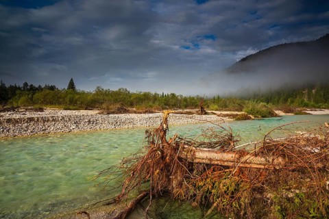 Isar valley nature conservancy area. The wild Isar river flows through its gravel bed past
