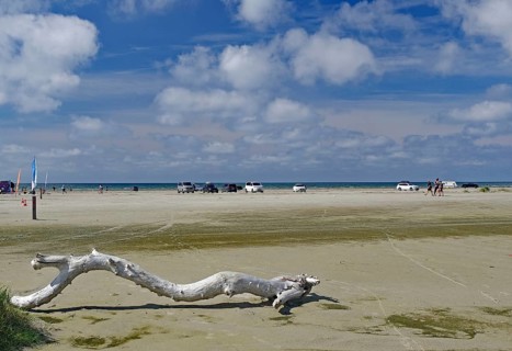 Spacious beach with driftwood under a cloudy sky, North Sea, Fanö, North Jutland, Jutland, Denmark,