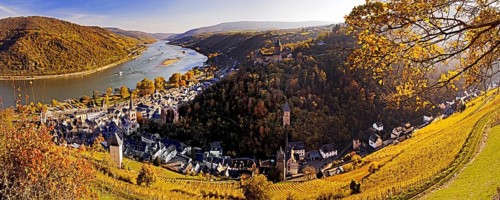 View of Bacharach and the Rhine in autumn, UNESCO World Heritage Upper Middle Rhine Valley,