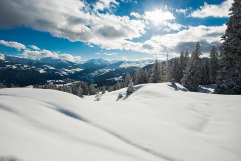 Snow-covered winter landscape, above Flims and Laax, view of the Vorderrheintal, Canton of