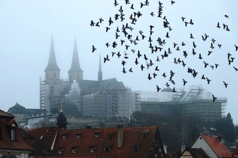 Bamberg Cathedral, fog, winter, Bavaria, Germany, Europe