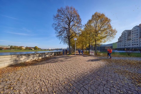 Elbe riverbank, Elbe, footpath, cycle path, trees, lime trees (Tilia), autumnal light-flooded