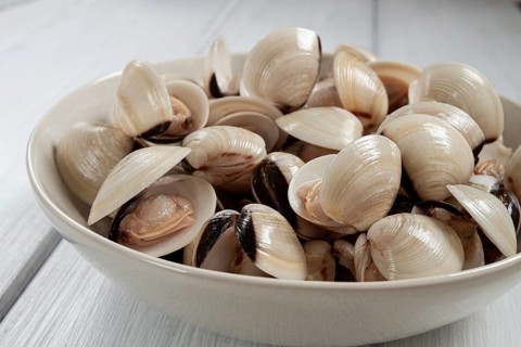 Freshly frozen vongole clams, on a light plate, top view, no people