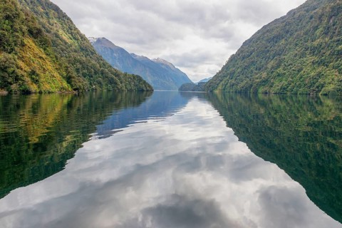 Doubtful Sound, Fiordland National Park, South Island, New Zealand, Oceania