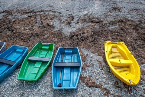 Pors Poulhan, Brittany, France - Colourful rowing boats moored on the harbour beach. The