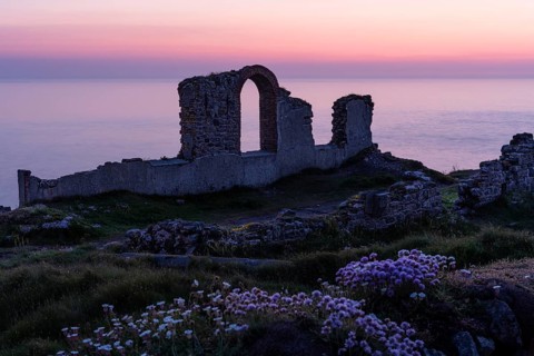 Ruins in the Botallack Mine, also known as Crown Mine. Beach carnations (Armeria maritima) in bloom