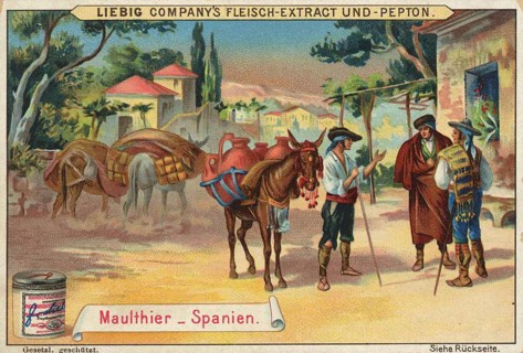 Picture series Animals of the countries, mule from Spain, Liebig picture, digitally restored