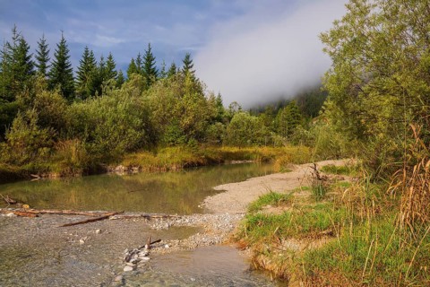 Isar valley nature conservancy area. The wild Isar river flows through its gravel bed past