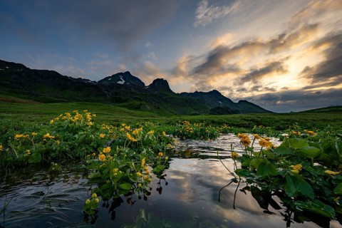 Summit in the morning light with dramatic clouds and marsh marigolds (Caltha) with stream in the