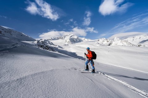 Ski tourers in a snow-covered mountain landscape, mountain peak Monte Cevedale and glacier