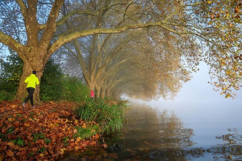 Essen, North Rhine-Westphalia, Germany, Golden autumn at Lake Baldeney. Cyclists and joggers in the