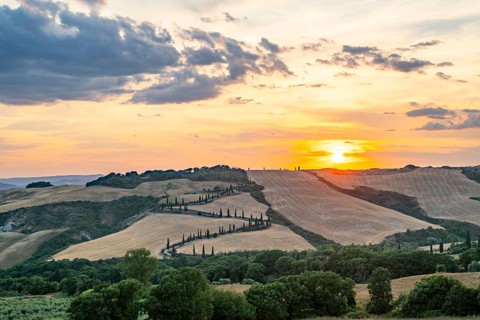 Typical Tuscan landscape in Val d'Orcia with hills, trees, fields, cypresses and farm road in