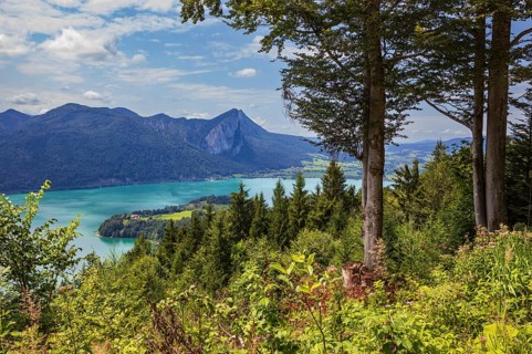 View from Hollerberg to Mondsee with Drachenwand, Mondseeland, Salzkammergut, Upper Austria,