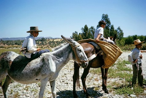 Boys riding donkeys in the countryside near Arcos de la Frontera, province of Cádiz, Spain 1964