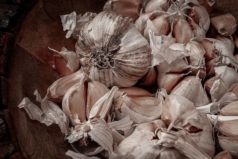 Fresh garlic, in a wooden plate, top view, close-up, no people
