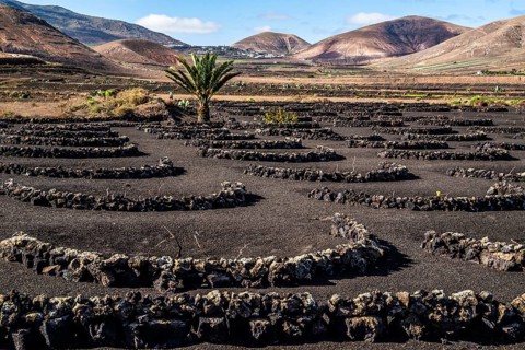 2016, Raimund Franken, Model Release:Not, Property Release: Not Yaiza, Lanzarote, ESP, Spain,