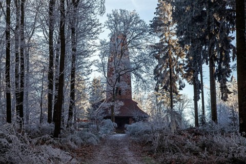 Winter, hiking trail, trees and ground vegetation with hoarfrost in the forest, mixed forest,