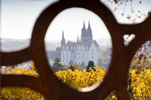 View of Albrechtsburg Castle with cathedral through the stele at the most beautiful wine view in